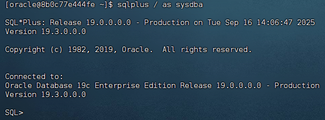DockerOracle19c安装-25103116-05